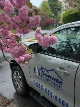 Senate Termite & Pest Control photo 6