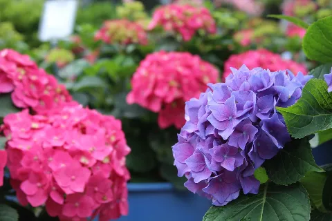 Tripp Landscaping photo 1
