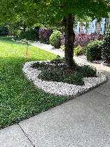 EM Landscaping Service photo 8