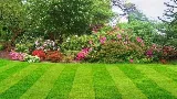 Affordable Lawn Care photo 6