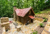 Sokol Landscaping photo 8