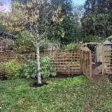 Rainforest Landscaping photo 3