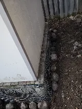 Acme Pest Solutions photo 3