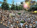 Steel City Landscape, Inc. photo 6