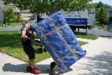 Next Stop Movers photo 7