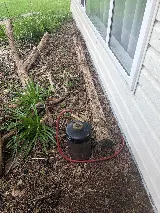 The Bugman Pest Control Services photo 10