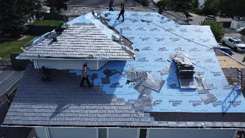 D Masters Roofing in Edmonton