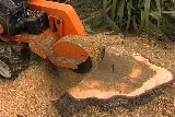 Jimenez Landscaping Service photo 5
