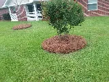 Tidewater Landscape Management Inc photo 5
