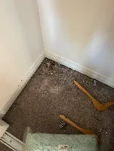 Elogyx Pest Solutions Inc. photo 3