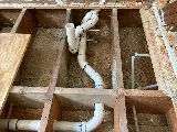 Paws Plumbing photo 2