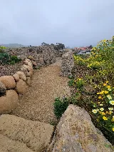 Organic Greens Landscapes & Maintenance photo 6