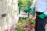 Pest Protection Services