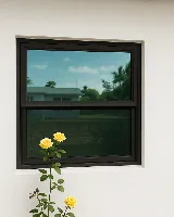 USA Windows and Doors photo 3
