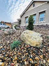 Bloom Landscaping photo 5
