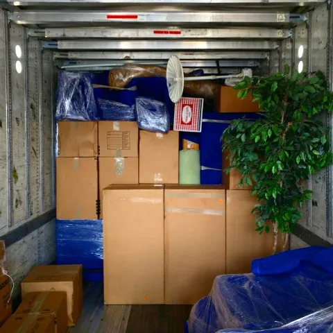 Sebastian Moving Knoxville photo 1