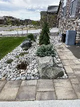 T&T Lawn and Landscaping photo 3