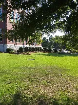 Tidewater Landscape Management Inc photo 8