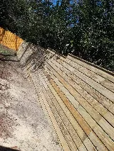 Mendoza Landscaping Columbia SC photo 3