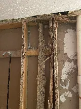 Turner Pest Control photo 4