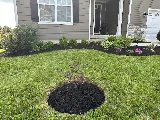 Lemus Landscaping LLC photo 3