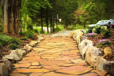 Seeds of Change Landscaping & Lawn Care photo 1