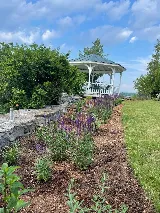 Dicot Landscape Studio photo 5