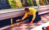 Western Exterminator photo 5