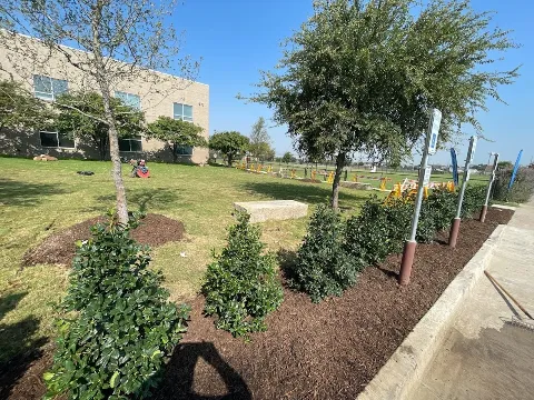 Lonestar Landscape DFW, LLC photo 1
