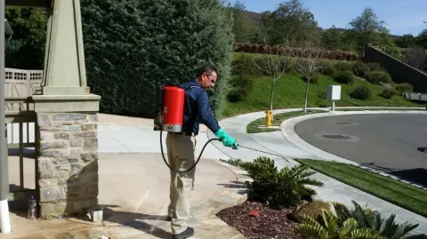 Gaines Pest Control photo 1