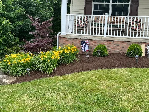 Sawyer's Lawn Care Service photo 1