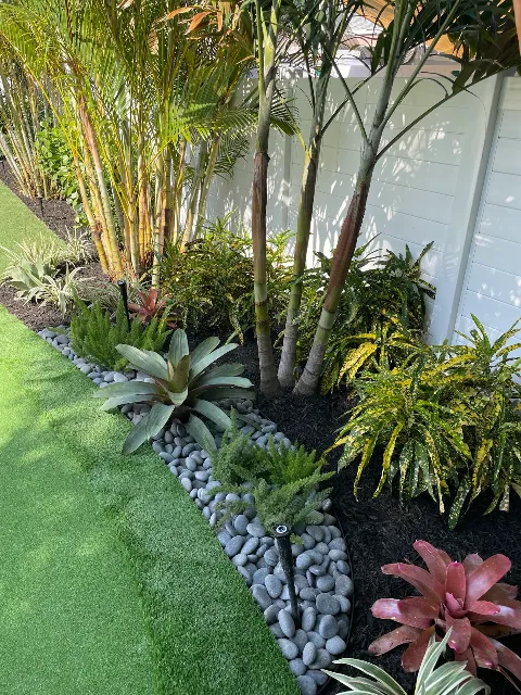Root Wise LLC photo 1