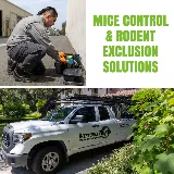 Versa-Tech Pest Management photo 4