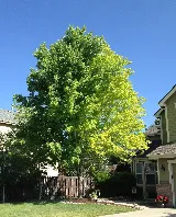 Heartland Landscape Group photo 5