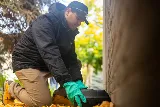 Greenix Pest Control photo 8