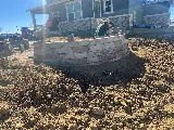 C & Bel Sprinklers System & Landscaping Services LLC photo 6