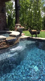 Crystal Clear Pool Co. photo 4