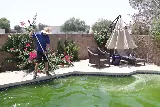 Triton Pools photo 6
