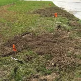 Wow Pest Control Inc. photo 4