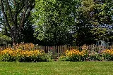Greenwise Organic Lawn Care of Milwaukee photo 7