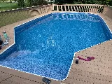Fox Pool Service photo 4
