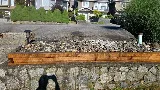 Alljobs Landscaping photo 2