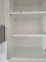 MVO Pest Control