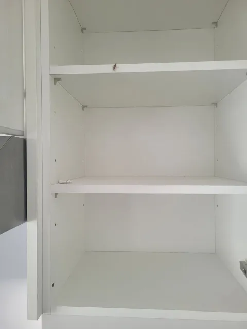 MVO Pest Control photo 1