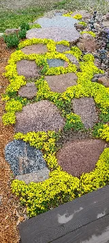 Rock Hard Landscape Supply photo 5