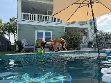 Sundance Pool Services - Magnolia photo 7