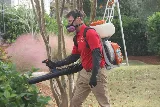 Palmetto Exterminators photo 4
