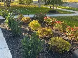 Greener Lawn Maintenance LLC photo 6
