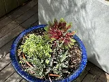 Metropolitan Garden Design photo 6