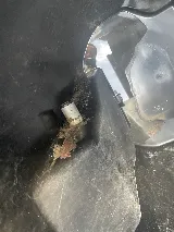 Insight Pest Solutions photo 5